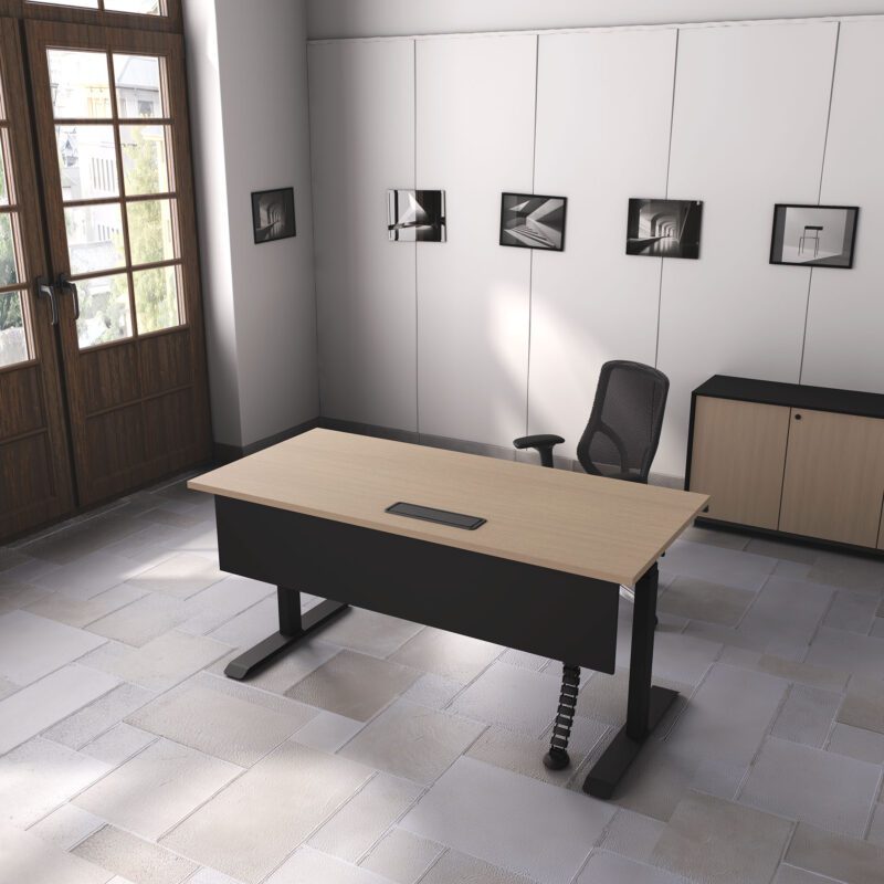 Height Adjustable Desk